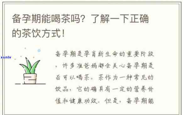 女性备孕期间是否适合喝红茶？冬也适用吗？