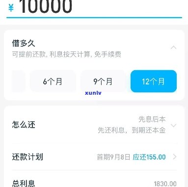 欠支付宝15万无力偿还是不是会判刑？