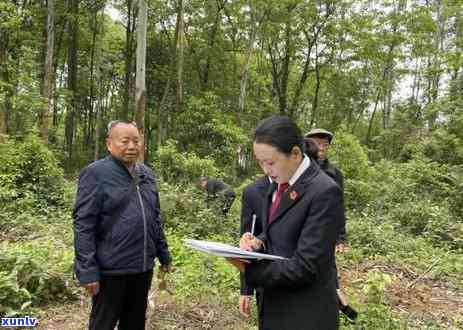 玉乌龟手链的寓意，解读玉乌龟手链的寓意：吉祥、长寿与守护