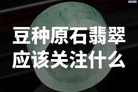 翡翠原石豆绿，探索翡翠世界：深入了解翡翠原石豆绿色泽的魅力