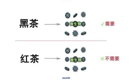 红茶变黑了能喝吗？有吗？