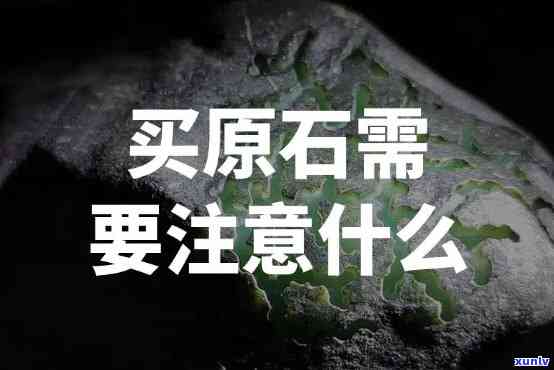 关于建行信用卡逾期减免利息政策，我们全面解答您的疑问和可能存在的误区