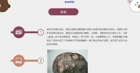 原石癣的种类与辨别图片，全面解析：原石癣的种类及辨别 *** ，一图看懂！