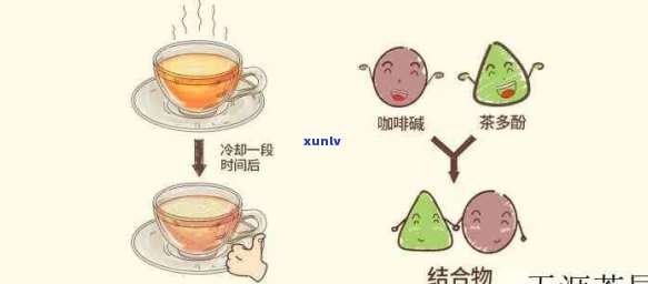 红茶冷了为什么会浑？原因解析