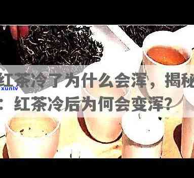 红茶冷了为什么会浑？原因解析