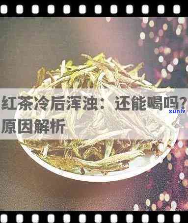 红茶冷了为什么会浑？原因解析