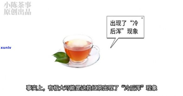 红茶冷后浑还能喝吗-红茶冷后浑说明什么