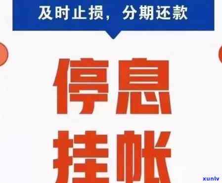 可以停息挂账的银行有哪些，哪些银行提供停息挂账服务？一份全面的银行名单