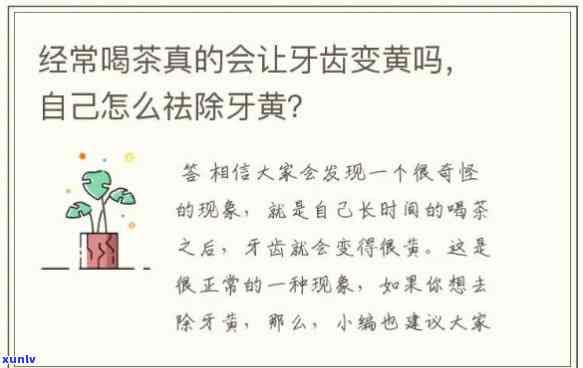 喝红茶牙会不会发黄，红茶真的会让牙齿变黄吗？真相大揭秘！