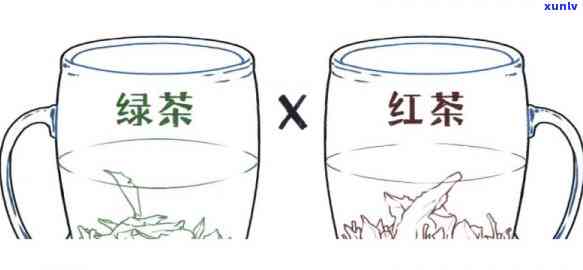 脑梗喝红茶好还是绿茶好？专家解析