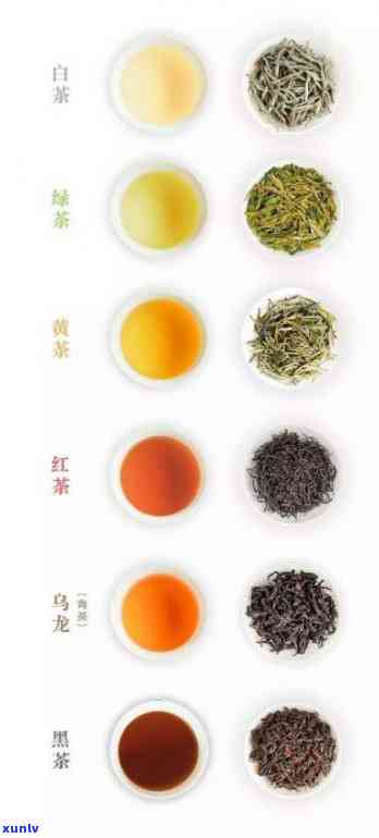 乌岽茗茶：是红茶还是绿茶？探讨其种类与价格