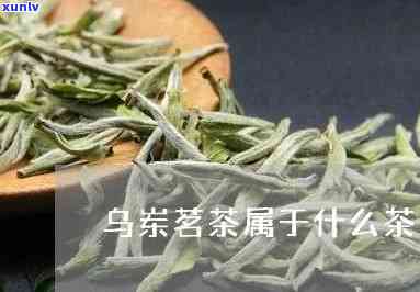 乌岽茗茶属于什么茶-乌岽茗茶属于什么茶类