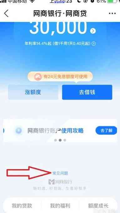 网商贷是什么银行提供的，揭秘网商贷：哪家银行提供该服务？