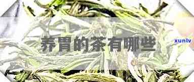 胃烂喝什么茶最有效，胃烂患者喝什么茶效果？这份清单或能帮到你！