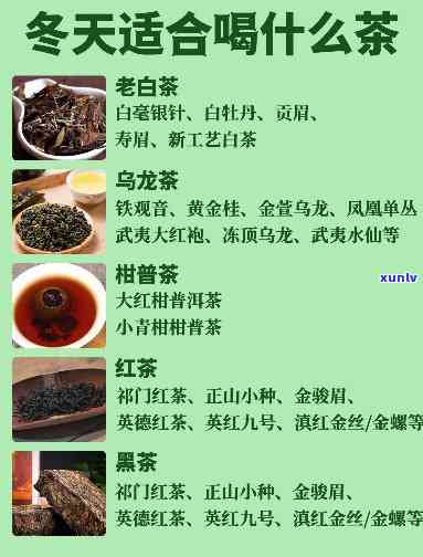 请问冬天喝什么茶好一点？