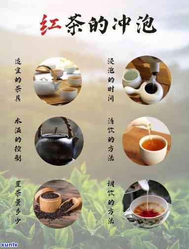 红茶一泡多少水？冲泡时间和次数全解！