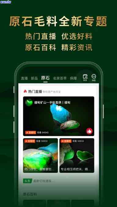 翡翠原石app：下载与你所需的翡翠原石信息