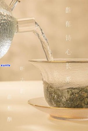 什么人不能喝红茶菌，红茶菌的饮用禁忌：哪些人群不适合喝？