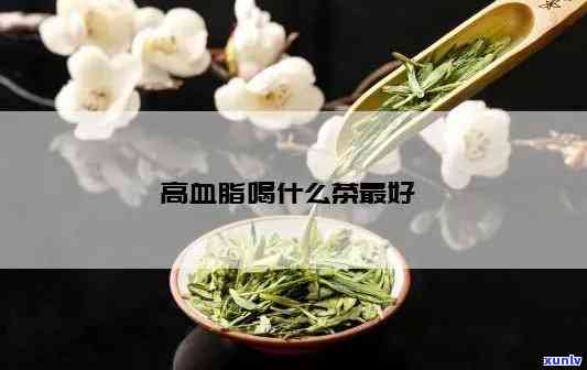 血脂高的喝什么茶好-血脂高的喝什么茶好一点