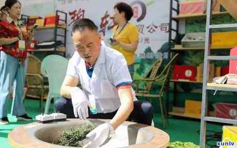 肃陇南出产什么茶-肃陇南出产什么茶最多