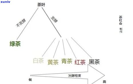 什么茶叶越陈越值钱，揭秘茶叶界的秘密：哪些茶叶越陈越值钱？