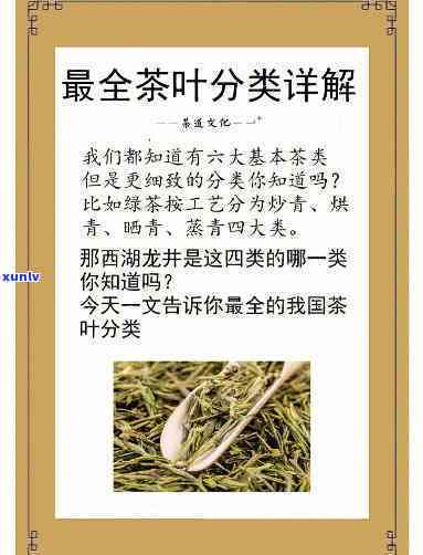 四大名枞属于什么茶-四大名枞属于什么茶类