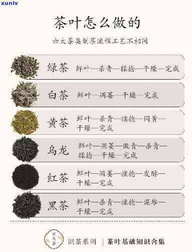 小粒的茶：揭秘一粒一粒的茶叶品种与冲泡 *** 