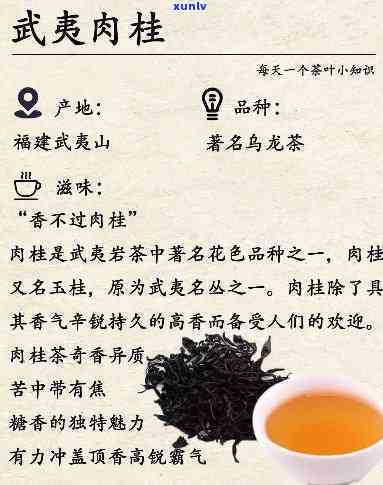 什么茶最香喝?-什么茶最香喝还不贵