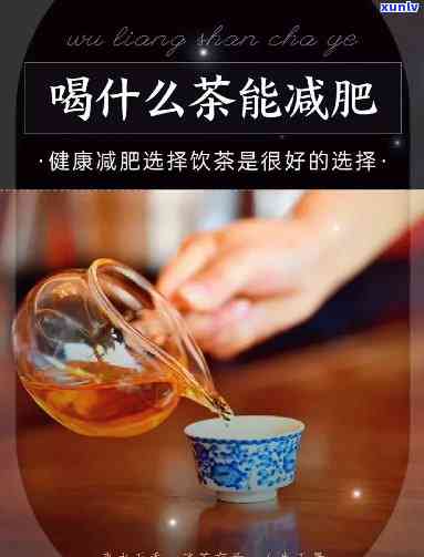 去脂减肥喝什么茶？选择合适饮品助力健减重！