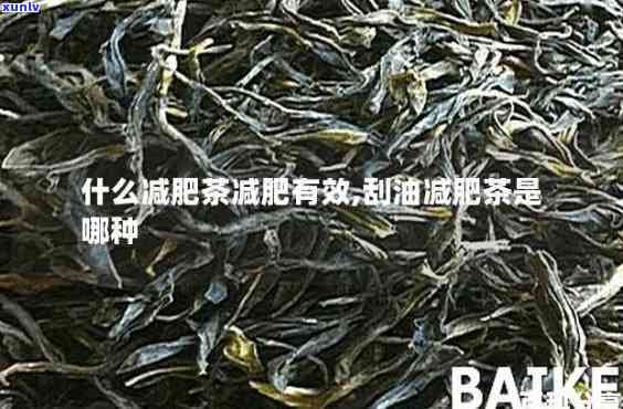 降脂减肥茶种类全解析：哪些茶能有效帮助你减肥降脂？