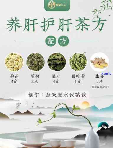 清肺护肝的茶：种类与茶包介绍