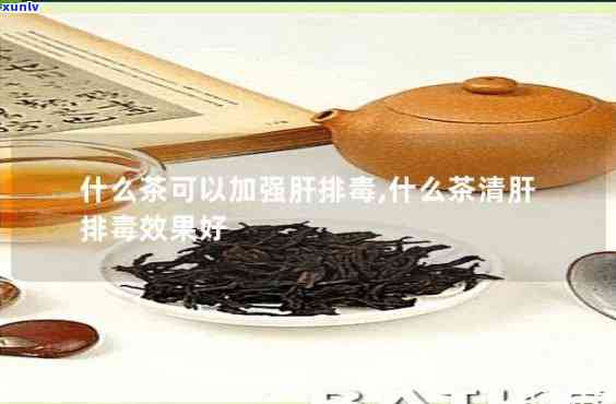 养肝排喝什么茶好-排肝最强的三种茶