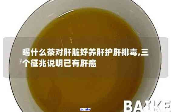 养肝排喝什么茶好-排肝最强的三种茶