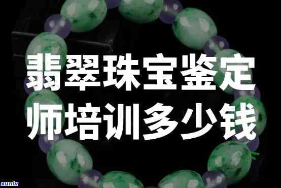 哪里能当翡翠鉴定师，寻找翡翠鉴定师培训机会：哪里可以学习成为专业的翡翠鉴定师？