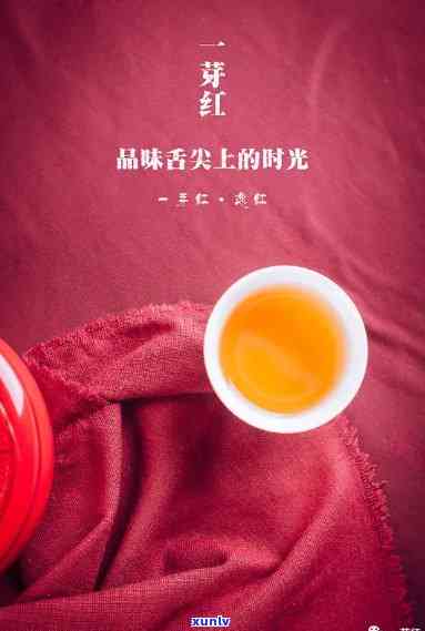 一芽红是什么茶多钱-一芽红是什么茶功效