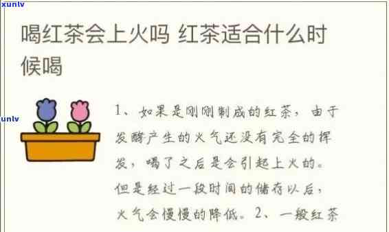 喝红茶容易上火的体质：解析红茶与上火的关系