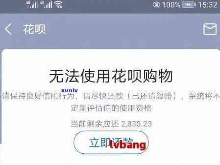 蚂蚁花呗：真的会通过  走法律程序吗？安全性怎样？