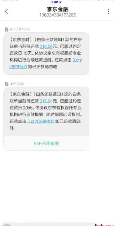 网商贷逾期多久会被起诉会有什么结果，网商贷逾期：被起诉的时间和可能的结果是什么？