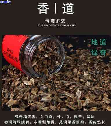 东香片属于什么茶-东香片属于什么茶种