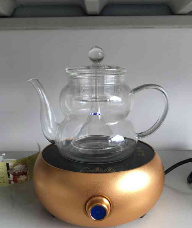 什么茶适合蒸茶器加热？详解各类茶叶适用性