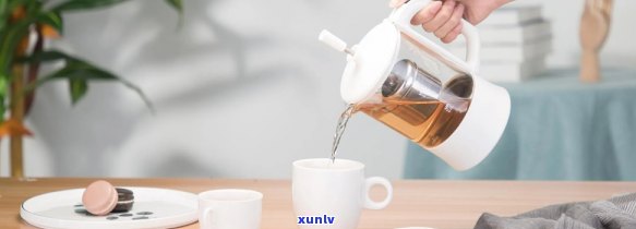 什么茶适合蒸茶器加热？详解各类茶叶适用性