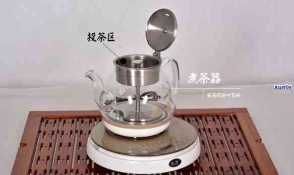 什么茶可以用蒸茶器-什么茶可以用蒸茶器蒸