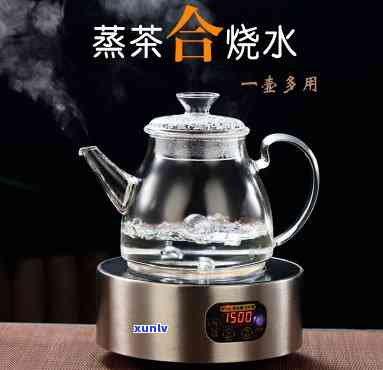 什么茶可以用蒸茶器-什么茶可以用蒸茶器蒸