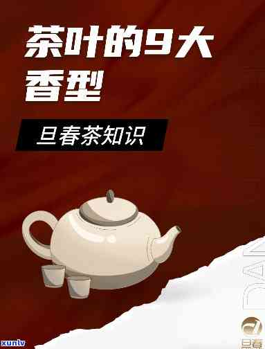 一叶香茗茶：种类、类别全揭秘