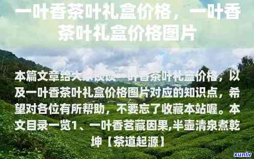 一叶香茗茶叶价格全览：最新价格表与多少钱详析