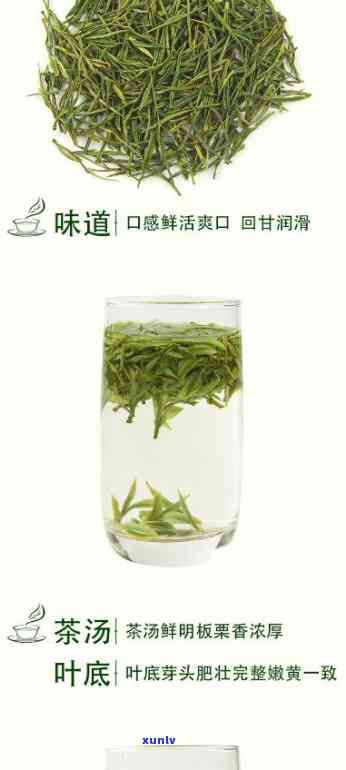 一叶香茗茶是什么茶-一叶香茗茶是什么茶种