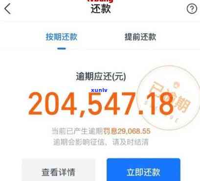 支付宝催款程序：全面解析软件与  