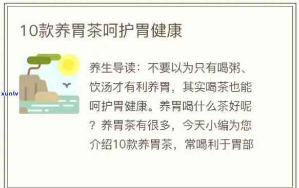 胃病人群适合饮用哪些茶？专家推荐几种养胃茶方