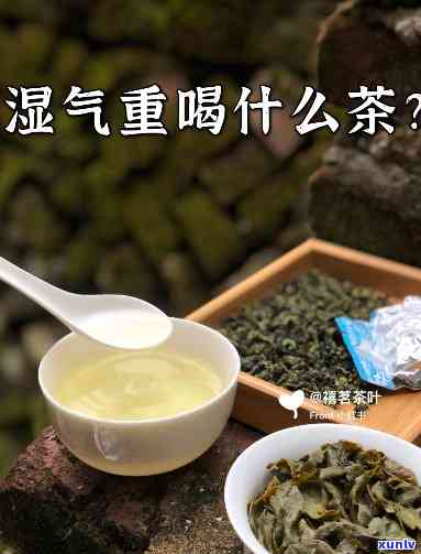 泡什么茶除湿气效果，揭晓！哪种茶叶最适合去除体内湿气？