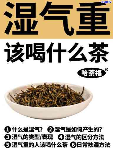 泡什么茶除湿效果？绿茶、乌龙茶和花草茶皆可，具体选择应根据个人口味和身体状况。